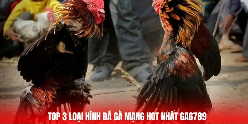 Đá Gà Mạng - Huyết Chiến Của Chiến Binh Thép Tại GA6789 2 Top 3 loại hình đá gà mạng hot nhất Ga6789